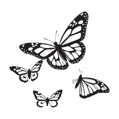 Monarch butterfly silhouettes collection, vector illustration isolated on white background. Closeup design element black butterfly.