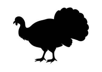 turkey silhouette on transparent background for web and graphic design