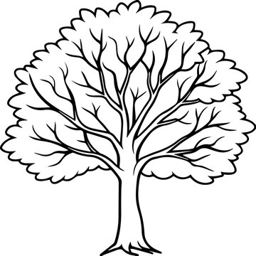 fall tree outline vector illustration outline