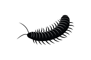 Obraz premium Millipede silhouette vector on a white background