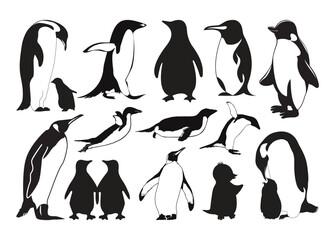 Fototapeta premium Penguin vector, Penguin clipart, Penguin silhouette