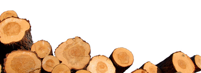 A row of freshly cut tree logs isolated on a transparent background, showcasing the natural wood texture, tree rings, and organic timber surface. Ideal for use in forestry, woodworking, firewood