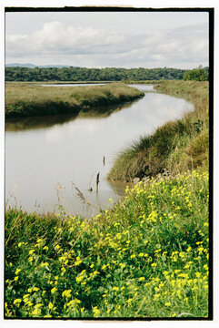 Shallow stream