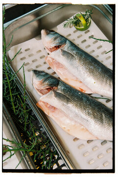 Raw fish in a restaurant  
