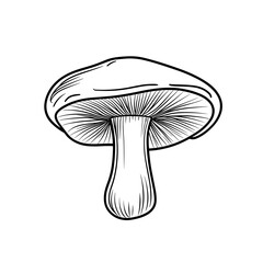 Roasted Mushroom Illustration in Minimalist Style  