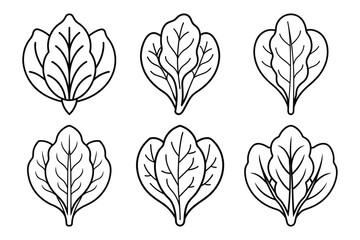 Spinach leaf Botanical line art icon set minimalistic design with white background
