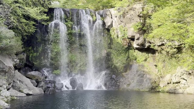 120fps Waterfall in Korean Subtropical Jungle &ndash; High Frame Rate Nature Video