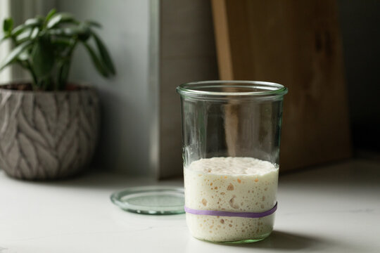 Sourdough Starter