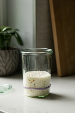 Sourdough Starter
