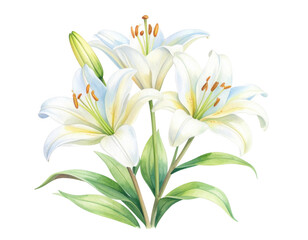 Delicate White Lilies in Bloom with Lush Green Leaves and Stems