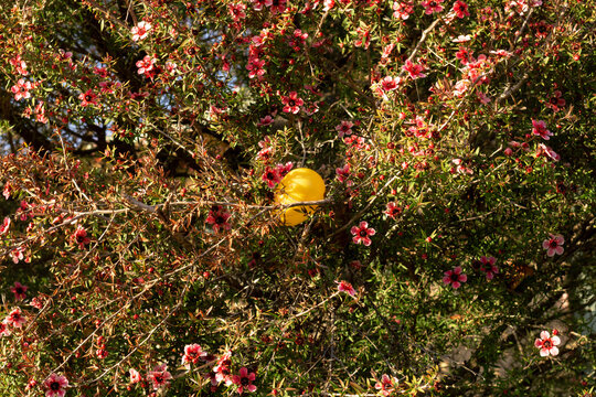 Yellow easter egg in floral tree