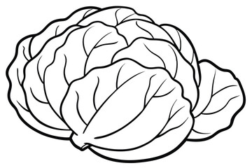 Brussels Sprouts Vegetable Vector Illustration on White Background

