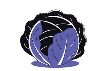 Cabbage Vegetable Vector Illustration on White Background

