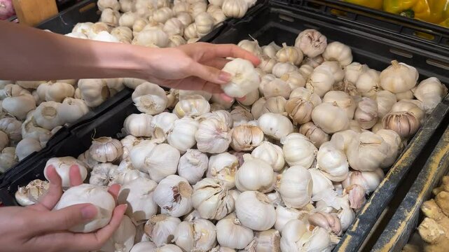 Close-up of hands selecting fresh garlic bulbs from a large pile at a grocery store or market