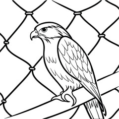 vector illustration of an eagle