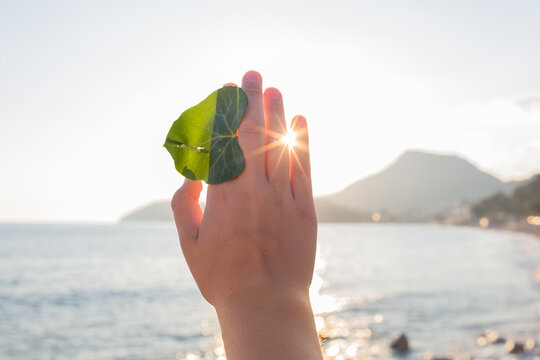 Breath of summer
