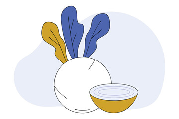 Kohlrabi Vegetable Vector Illustration Isolated on White Background