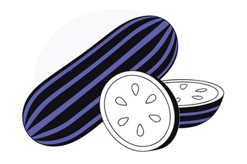 Luffa Sponge Gourd Vegetable Vector Illustration Isolated on White Background