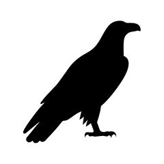 Silhouette of a majestic eagle standing tall against a crisp white backdrop