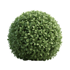 Perfect Sphere of Lush Green Foliage 3D Render of Boxwood Bush for Landscaping Designs