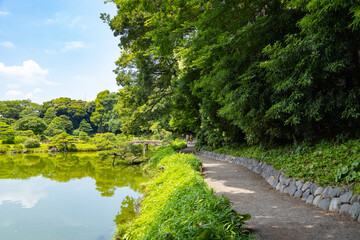 初夏の清澄公園