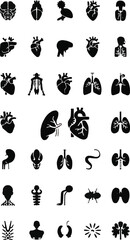 Obraz premium black anatomy glyphs, organ icon set
