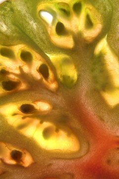 Closeup macro photograph Heirloom tomato patterns details colors