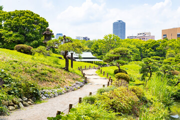 初夏の清澄公園