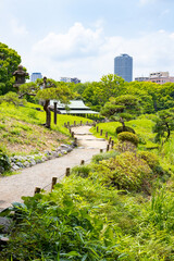 初夏の清澄公園