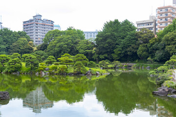 初夏の清澄庭園