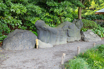 清澄庭園　真鶴石