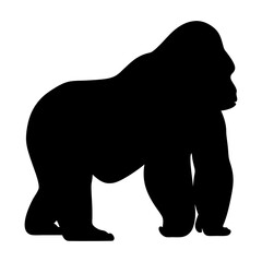 Obraz premium Silhouette of a Western Lowland Gorilla Standing Tall on All Fours