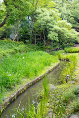 初夏の清澄庭園
