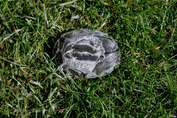 dermatological soap for every disease