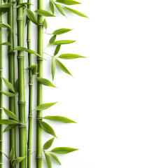 Naklejka premium Green bamboo with leaves arranged beautifully on white background, creating serene atmosphere