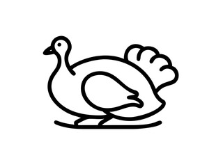 turkey multiple poses on transparent background for web and graphic design