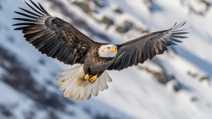 Majestic Bald Eagle Soaring over Snowy Mountain