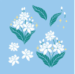 Fototapeta premium Jasmine vector 