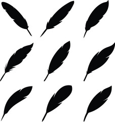 Set of Black Feather Silhouettes Vector Icons on White Background
