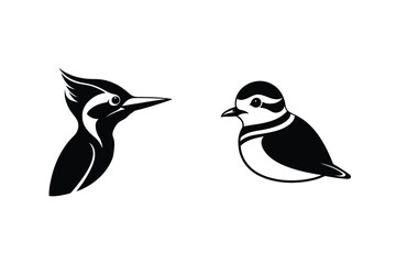Black and white silhouettes of a woodpecker and a killdeer bird with simple artistic designs