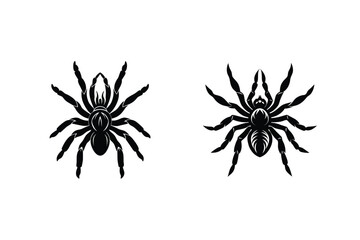 Two detailed black silhouette spider illustrations on a white background suitable for halloween and graphic design