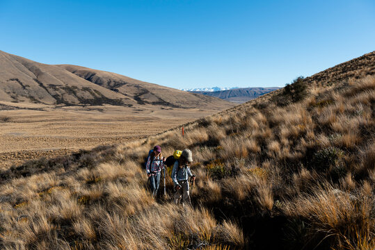 Kids hiking in the outdoors, South Island of New Zealand. 
