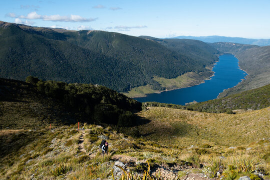 Backpacker climbing a trail in Kahurangi National Park
