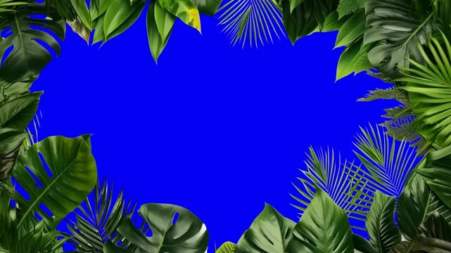 Green leaf border frame animation, transparent 4K video, green screen
