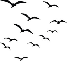Obraz premium Black silhouetted birds fly together diagonally across an empty white background creating a flock