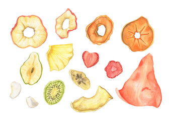 Watercolor dried fruit set. Slices of apple, pear, persimmon, watermelon, pineapple, kiwi, banana, strawberry, melon, coconut chips. Hand painted healthy vegan food clipart. Dehydrated natural organic