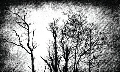 Silhouettes of bare branches of trees on grunge dark background. Misty forest. Gothic style illustration	
