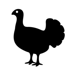 Silhouette of a majestic turkey standing proudly against a white backdrop