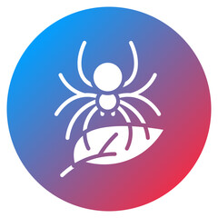 Spider Crawl Vector Icon