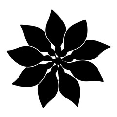 Black and White Floral Design with Petal Symmetry and Abstract Artistry